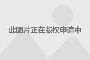  德甲金靴争夺白热化，希克紧追帕科仅差两球  